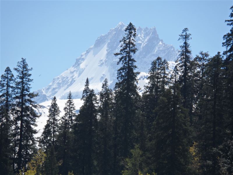 Bara Bhangal Trek