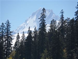 Bara Bhangal Trek