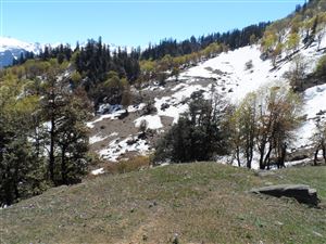 Bara Bhangal Trek