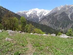 Bara Bhangal Trek