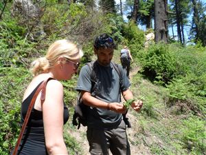 Bara Bhangal Trek