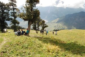 Bhirgu Lake Trek