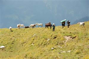 Bhirgu Lake Trek