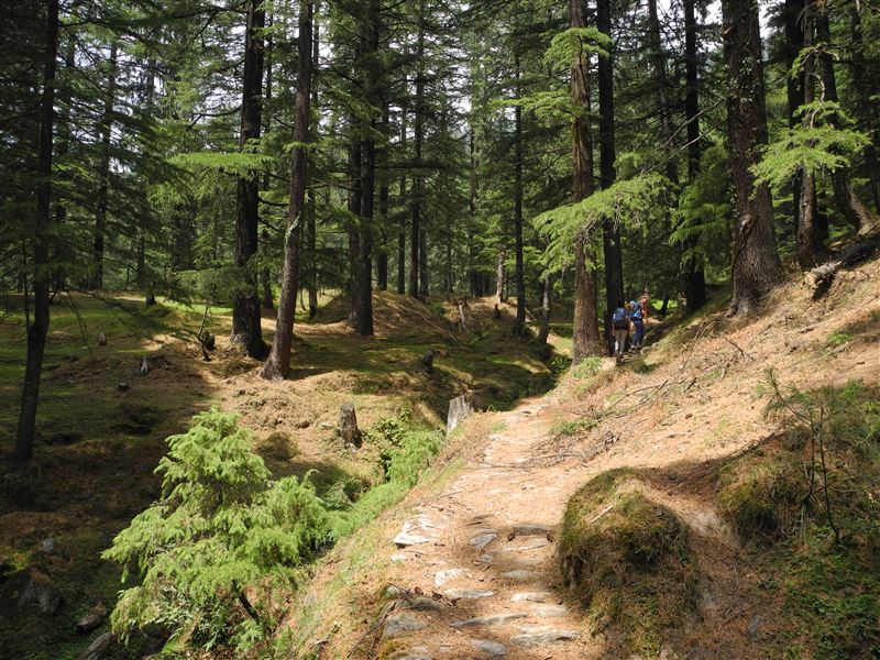 Hampta Circle Trek