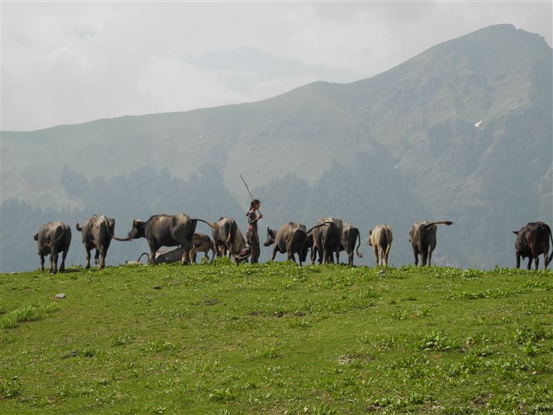 Hampta Circle Trek