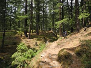 Hampta Circle Trek