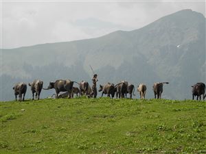 Hampta Circle Trek