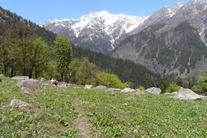 Kalihani Pass Trek