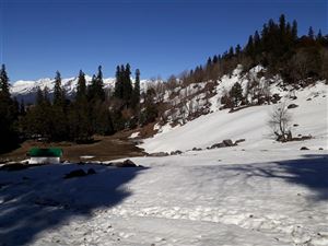 Khenpari Tibba Trek