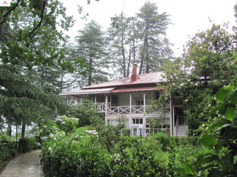 Shimla Manali Tour