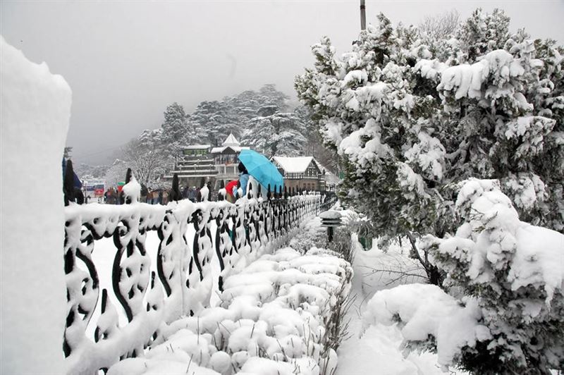 Shimla Manali Tour