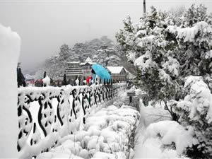 Shimla Manali Tour